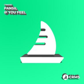 Download track If You Feel (Radio Edit) Pansil