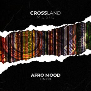 Download track Afro Mood Haldo