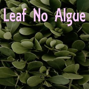 Download track Third Man Leaf No Algue