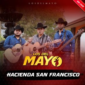 Download track Hubo Beso (En Vivo) Los Del Mayo