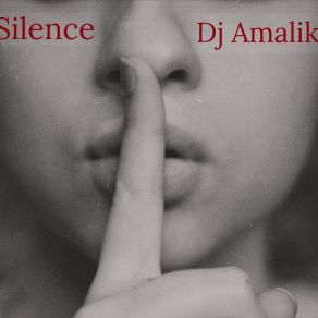 Download track Big Stage DJ Amalik