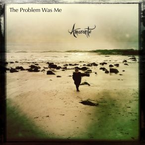 Download track The Problem Was Me Amarante