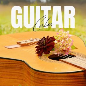 Download track Serene Guitar Jazz Guitar Guys