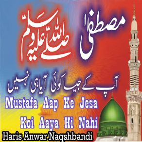 Download track Aey Rabbe Zuljalal Haris Anwar Naqshbandi