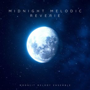 Download track Nocturnal Lullaby Moonlit Melody Ensemble