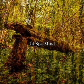 Download track Tranquil Home Sleep Sounds Of Nature