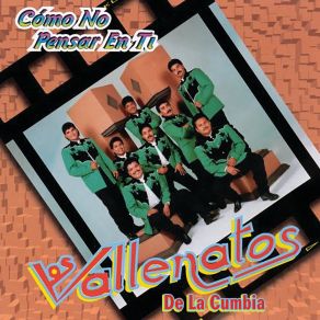 Download track Nunca Te Olvidaré Los Vallenatos De La Cumbia