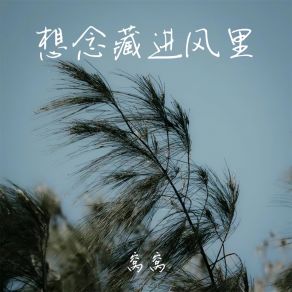 Download track 想念藏进风里 窝窝