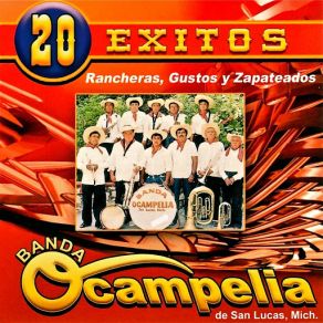 Download track San Lucas Banda Ocampelia De San Lucas Michoacán