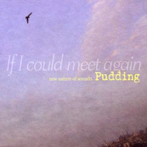 Download track If I Could Meet Again (Original) Pudding