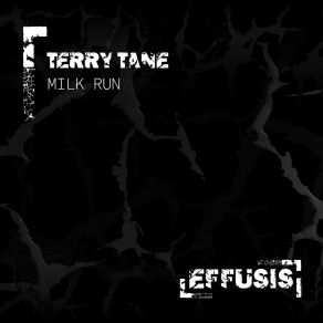 Download track Milk Run (Radio Mix) Terry Tane