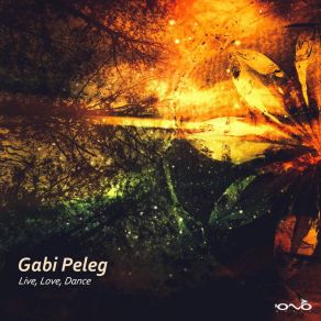 Download track The Afterlife Gabi Peleg