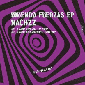 Download track Camino Nublado (Original Mix) Nachzz