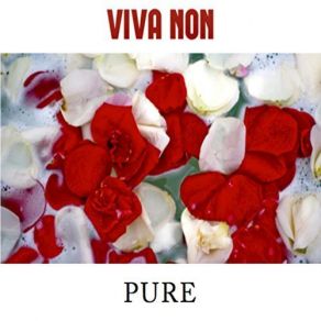 Download track Internally Viva Non