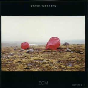 Download track Drawing Down The Moon Steve Tibbetts