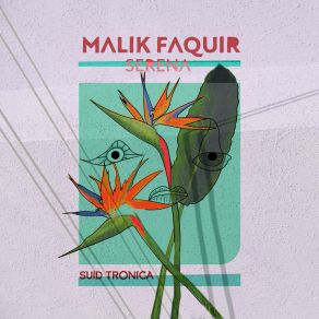 Download track The Opulent Song Malik Faquir