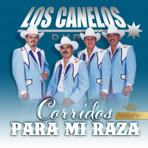 Download track Corrido De Maria Luz Los Canelos De Durango