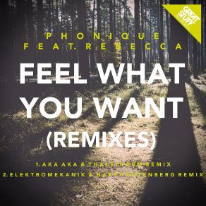 Download track Feel What You Want (Aka Aka And Thalstroem Remix) Phonique, RebeccaAka Aka, Thalstroem