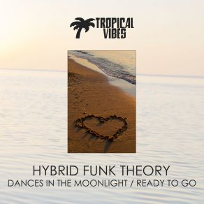 Download track Dances In The Moonlight (Original Mix) Hybrid Funk Theory