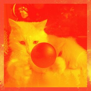 Download track Understated Backdrops For Cute Kitten Music For Resting Cats