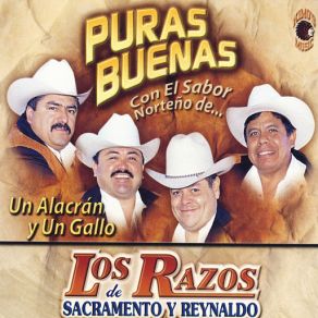 Download track Reyna De Reynas Los Razos