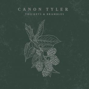 Download track Troubled Man Canon Tyler