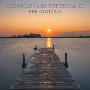 Download track Ondas Para La Retención David Melodías Relajantes