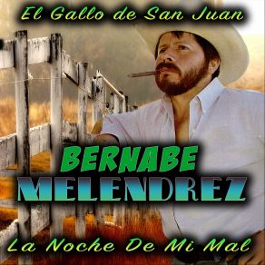 Download track El Gallo De San Juan Bernabé Meléndrez