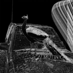 Download track Shimmering Action SELVEDGE