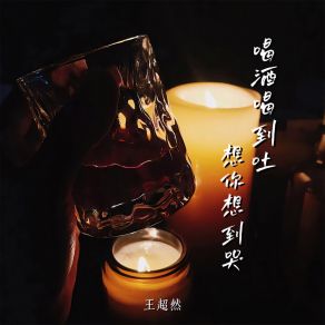 Download track 喝酒喝到吐想你想到哭 (Dj默涵版伴奏) 默涵