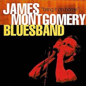 Download track Ramblin' Man James Montgomery Bluesband