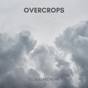 Download track Shortfall Ellie Gardnera