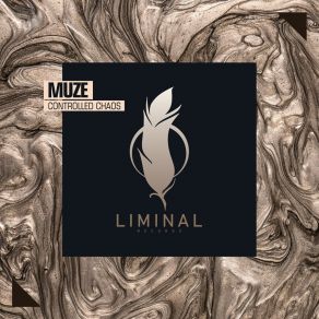 Download track Controlled Chaos (Radio Mix) Muze