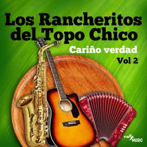 Download track Mejor Piensalo Bien Los Rancheritos Del Topo Chico