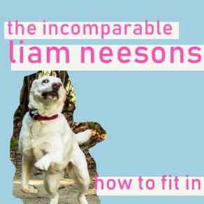 Download track Roxbury 2011 The Incomparable Liam Neesons