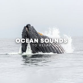 Download track Night Dreams Ocean Sounds