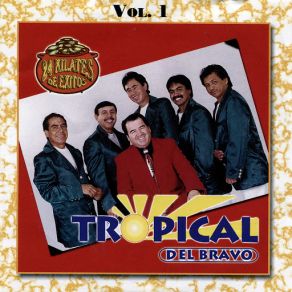 Download track La Del Vestido Rojo Tropical Del Bravo