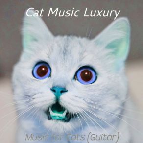 Download track Mellow Ambiance For Cats Cat Music Luxury