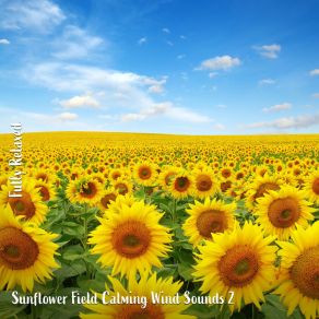 Download track Sunflower Field Calming Wind Sounds, Pt. 8 Steve Brassel