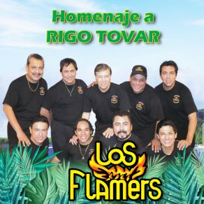 Download track La Ranita Los Flamers