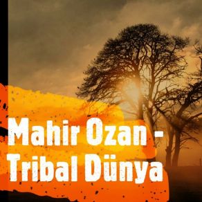 Download track Son Perde Mahir Ozan