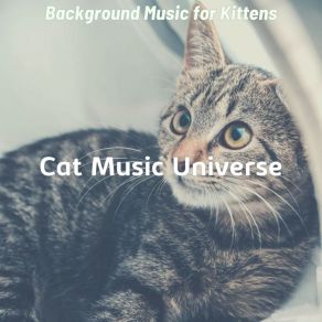 Download track Background For Training Your Cat Cat Music Universe