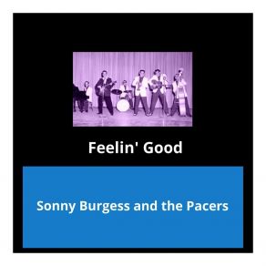 Download track We Wanna Boogie The Pacers