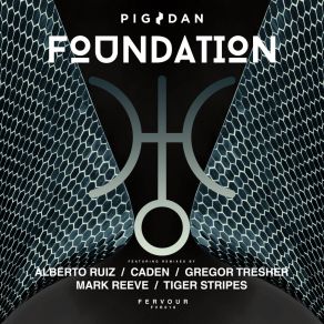 Download track Foundation (Tiger Stripes Remix) Pig & DanTiger Stripes