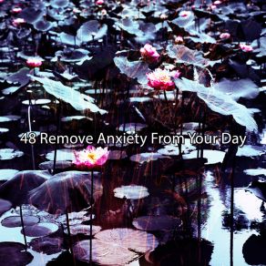 Download track Regrowth For A Heavy Mind Massage Therapy Music