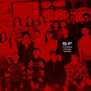 Download track Social Influence S&F