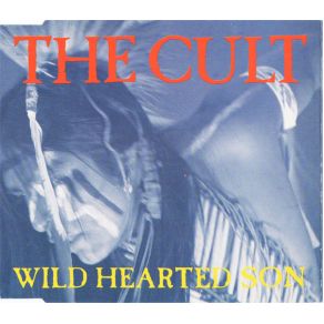 Download track Wild Hearted Son (Edit) The CultIan Astbury