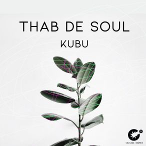 Download track Kubu (Original Mix) Thab De Soul