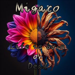 Download track Passage Of Time Migaco