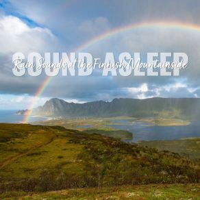 Download track Rain Sounds At The Finnish Mountainside, Pt. 20 Elijah Wagner